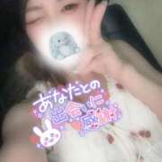 ヒメ日記 2026/08/14 13:06 投稿 れいら ソープランド AQUA（アクア）
