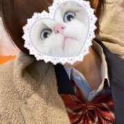 ヒメ日記 2025/11/24 16:45 投稿 スザンナ Cawaiiハイ！スクールリターンズ