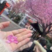 ヒメ日記 2025/03/22 16:10 投稿 夏目 鶯谷人妻城