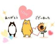 ヒメ日記 2025/06/21 05:42 投稿 夏目 鶯谷人妻城