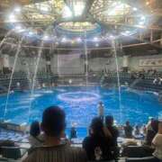 ヒメ日記 2025/08/20 01:17 投稿 夏目 鶯谷人妻城