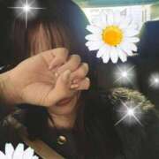 ヒメ日記 2025/11/02 06:40 投稿 夏目 鶯谷人妻城