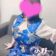 ヒメ日記 2025/04/07 20:22 投稿 小野なつみ AJ DOLLS(エージェイドールズ)