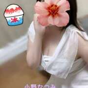 ヒメ日記 2025/07/14 09:22 投稿 小野なつみ AJ DOLLS(エージェイドールズ)