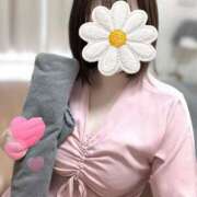 ヒメ日記 2025/11/16 12:03 投稿 小野なつみ AJ DOLLS(エージェイドールズ)