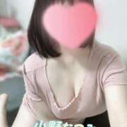 ヒメ日記 2025/12/16 09:52 投稿 小野なつみ AJ DOLLS(エージェイドールズ)