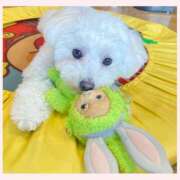 ヒメ日記 2025/04/28 08:19 投稿 すみれ XSTASY（エクスタシー）