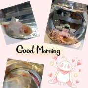 ヒメ日記 2025/08/25 09:54 投稿 すみれ XSTASY（エクスタシー）