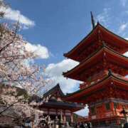 ヒメ日記 2026/03/24 12:48 投稿 すみれ XSTASY（エクスタシー）