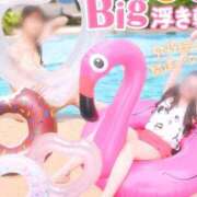 ヒメ日記 2026/08/28 07:46 投稿 すみれ XSTASY（エクスタシー）