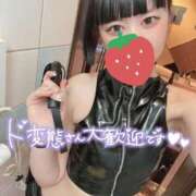 ヒメ日記 2026/04/17 08:27 投稿 ふゆ 変態なんでも鑑定団