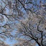 ヒメ日記 2026/04/05 07:25 投稿 りょう 栃木宇都宮ちゃんこ