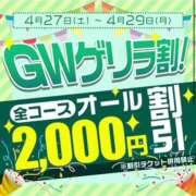 ヒメ日記 2024/04/27 11:12 投稿 なぎさ ハナミズキ