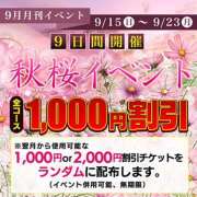 ヒメ日記 2024/09/17 09:42 投稿 なぎさ ハナミズキ