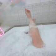 ヒメ日記 2025/01/26 00:48 投稿 こはる 京都BOOK MARK（ブックマーク）