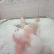 ヒメ日記 2025/02/23 23:19 投稿 こはる 京都BOOK MARK（ブックマーク）