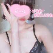 ヒメ日記 2025/04/11 15:15 投稿 こはる 京都BOOK MARK（ブックマーク）