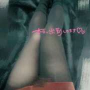 ヒメ日記 2025/04/20 15:08 投稿 こはる 京都BOOK MARK（ブックマーク）