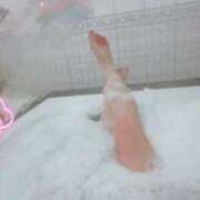 ヒメ日記 2025/10/13 15:18 投稿 こはる 京都BOOK MARK（ブックマーク）