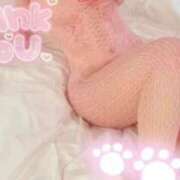 ヒメ日記 2026/02/13 19:21 投稿 こはる 京都BOOK MARK（ブックマーク）