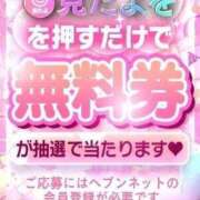 ヒメ日記 2026/04/08 13:48 投稿 こはる 京都BOOK MARK（ブックマーク）