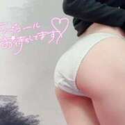 ヒメ日記 2026/07/25 13:58 投稿 こはる 京都BOOK MARK（ブックマーク）