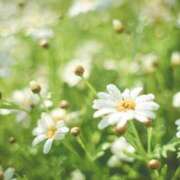 ヒメ日記 2025/08/12 10:37 投稿 あかり しろうとCollection