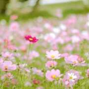 ヒメ日記 2025/09/13 13:41 投稿 あかり しろうとCollection