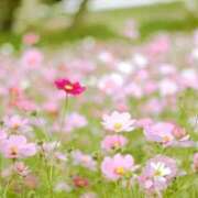 ヒメ日記 2025/09/19 18:47 投稿 あかり しろうとCollection