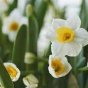 ヒメ日記 2025/10/29 11:12 投稿 ようこ Candy×Candy （キャンディ×キャンディ）