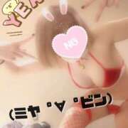 ヒメ日記 2025/11/12 16:50 投稿 みやび 44 heart ～ヨンヨンハート～