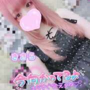 ヒメ日記 2024/12/14 15:03 投稿 きさら 秋葉原コスプレ学園(AKG)