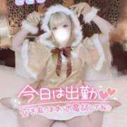 ヒメ日記 2024/12/20 17:09 投稿 きさら 秋葉原コスプレ学園(AKG)