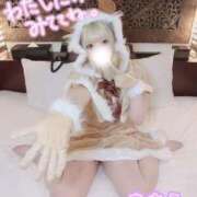 ヒメ日記 2025/01/07 16:02 投稿 きさら 秋葉原コスプレ学園(AKG)