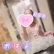 ヒメ日記 2025/02/18 07:21 投稿 きさら 秋葉原コスプレ学園(AKG)