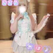 ヒメ日記 2025/02/23 08:31 投稿 きさら 秋葉原コスプレ学園(AKG)