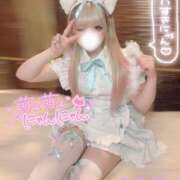 ヒメ日記 2025/02/23 20:04 投稿 きさら 秋葉原コスプレ学園(AKG)