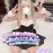 ヒメ日記 2025/03/20 11:59 投稿 きさら 秋葉原コスプレ学園(AKG)