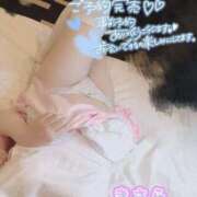 ヒメ日記 2025/03/20 14:41 投稿 きさら 秋葉原コスプレ学園(AKG)