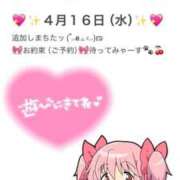 ヒメ日記 2025/04/08 15:51 投稿 きさら 秋葉原コスプレ学園(AKG)