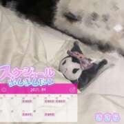 ヒメ日記 2025/04/19 21:21 投稿 きさら 秋葉原コスプレ学園(AKG)