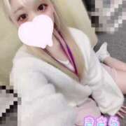 ヒメ日記 2025/04/20 12:31 投稿 きさら 秋葉原コスプレ学園(AKG)