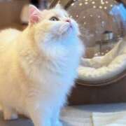 ヒメ日記 2025/10/15 16:13 投稿 ゆうり 2980円