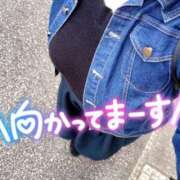 ヒメ日記 2023/11/05 09:15 投稿 いずみ♡M気強めのおっとり熟女♡ 富山高岡ちゃんこ