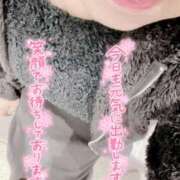 ヒメ日記 2024/02/14 09:30 投稿 いずみ♡M気強めのおっとり熟女♡ 富山高岡ちゃんこ