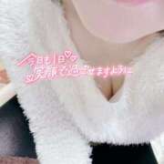 ヒメ日記 2024/12/22 07:16 投稿 いずみ♡M気強めのおっとり熟女♡ 富山高岡ちゃんこ