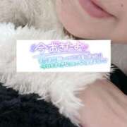 ヒメ日記 2025/03/08 06:06 投稿 いずみ♡M気強めのおっとり熟女♡ 富山高岡ちゃんこ