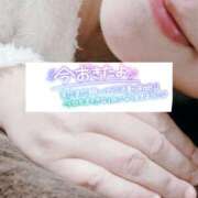 ヒメ日記 2025/03/14 06:05 投稿 いずみ♡M気強めのおっとり熟女♡ 富山高岡ちゃんこ