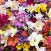 ヒメ日記 2025/03/16 11:18 投稿 いずみ♡M気強めのおっとり熟女♡ 富山高岡ちゃんこ