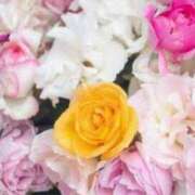 ヒメ日記 2025/04/02 07:35 投稿 いずみ♡M気強めのおっとり熟女♡ 富山高岡ちゃんこ